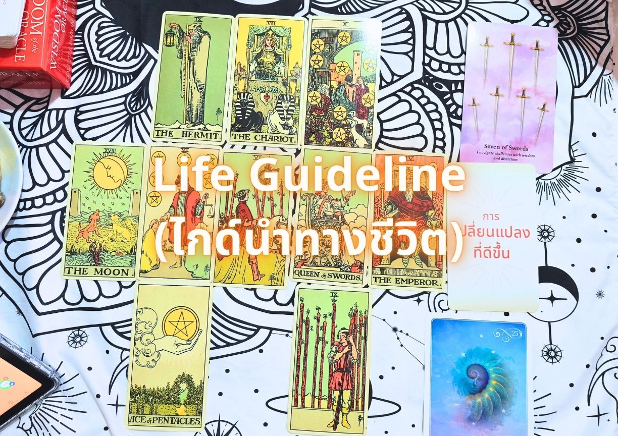 life 8